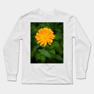 Yellow calendula flower and green leaves Long Sleeve T-Shirt